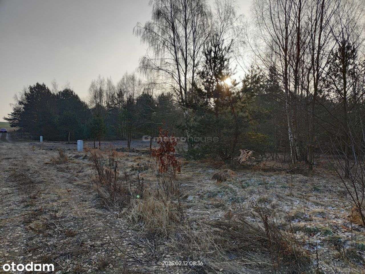 Działka, 1 550 m², Kotliny - Pełny obrazek: 4/5