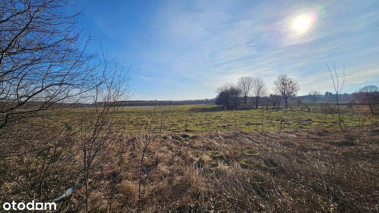 Działka na sprzedaż Swędkowo, gmina Godkowo - Pełny obrazek: 4/16