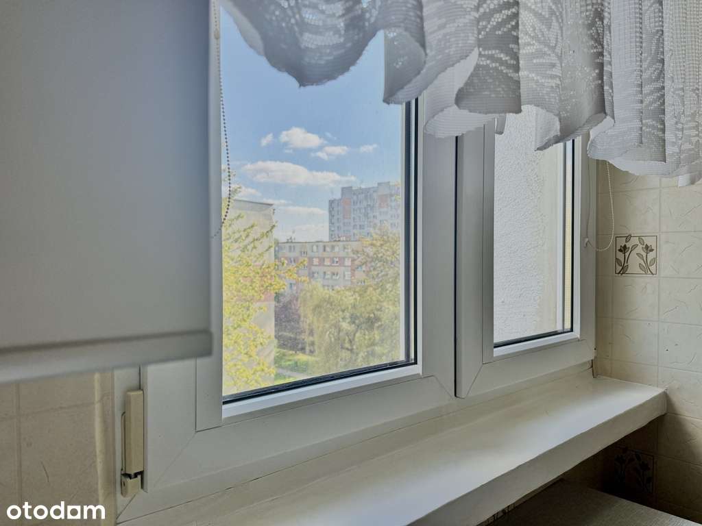 Dąbrowskiego • 37 m² • winda • 2 pokoje-6