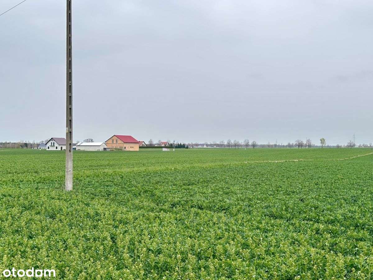 deweloperka, inwestycja, lokata - Pełny obrazek: 5/5