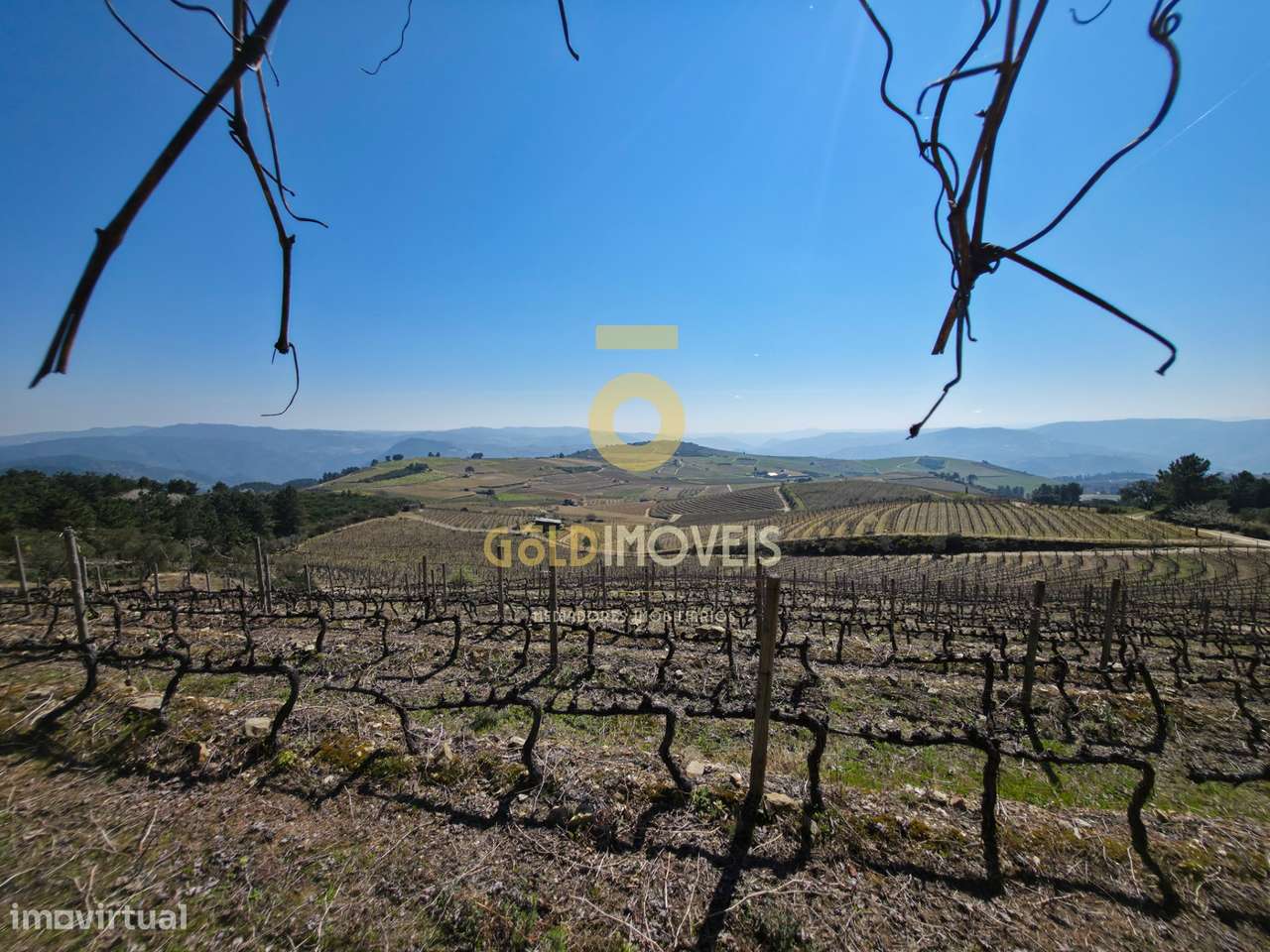 Quinta  Venda em São Mamede de Ribatua,Alijó - Grande imagem: 4/6