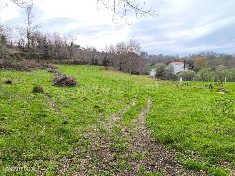 Terreno / Baião, Campelo e Ovil - Grande imagem: 5/11