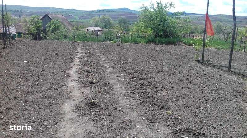 Se vinde casa in Biia - Imagine principală: 4/5