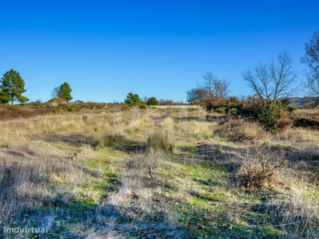Terreno rústico para venda na freguesia de Inguias (Belmonte). - Grande imagem: 3/8