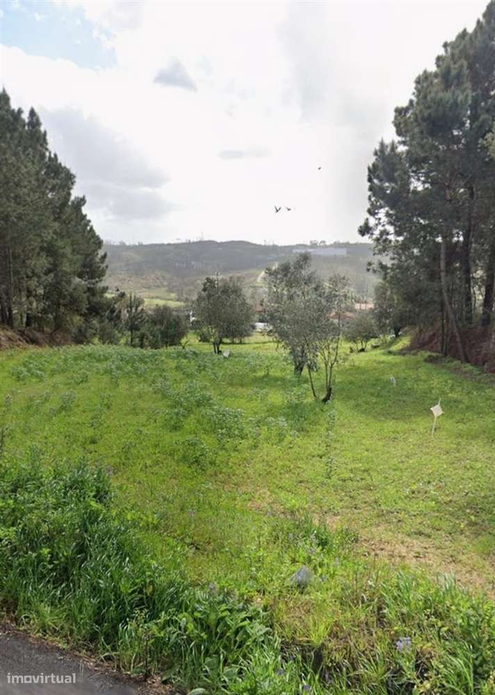 Terreno / Construção / Milagres / Leiria - Grande imagem: 3/12