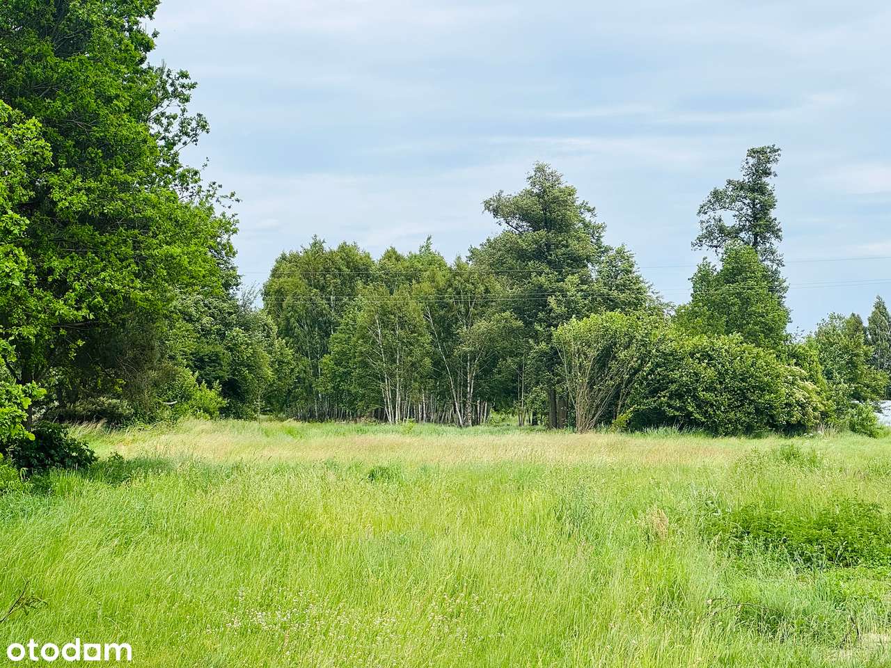 Atrakcyjna działka budowlano-rolna przy głównej drodze, Prawda - Pełny obrazek: 3/6