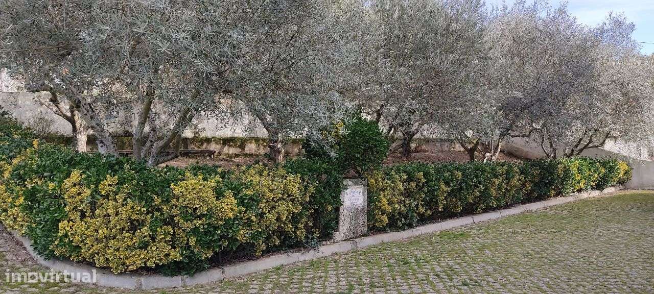 Moradia no Alto Douro Vinhateiro - Grande imagem: 5/37