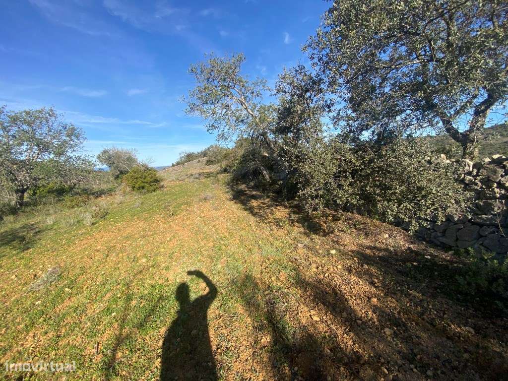 Lote de terreno rústico situado em zona muito tranquila, Boliqueime... - Grande imagem: 5/14