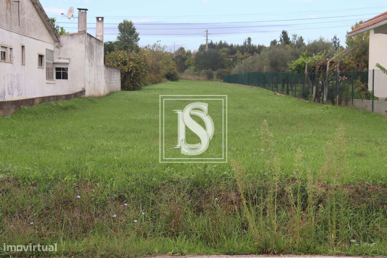 Lote para Construção - Alferrarede - Abrantes - Grande imagem: 4/12