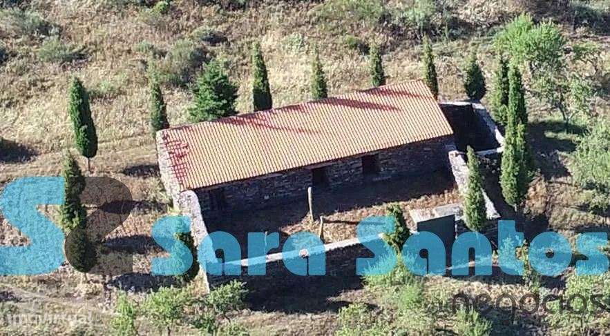 Terreno Região Demarcada do Douro. Com uma área de 32 hectares-Frei... - Grande imagem: 2/16
