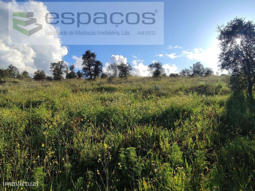 Quinta com um poço. - Grande imagem: 2/16