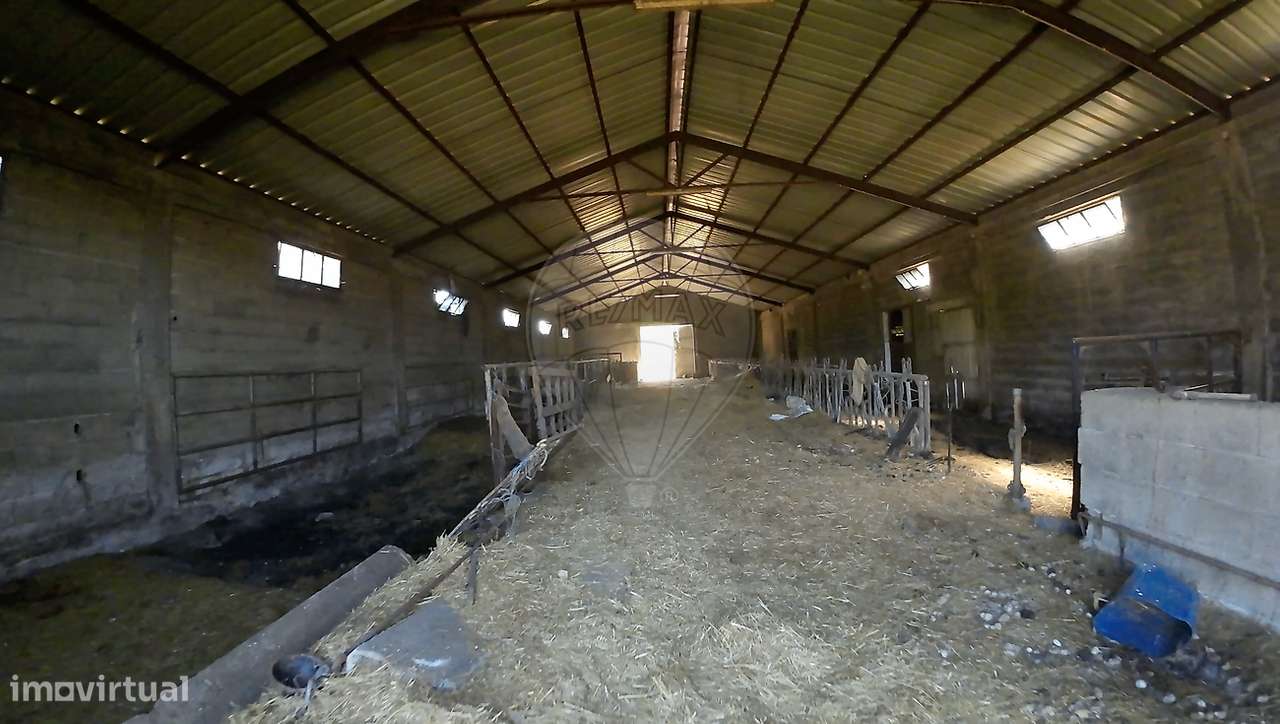 Armazém  para venda-9