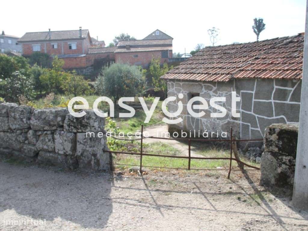 Terreno Rústico em Andorinha, Oliveira do Hospital - Grande imagem: 5/15