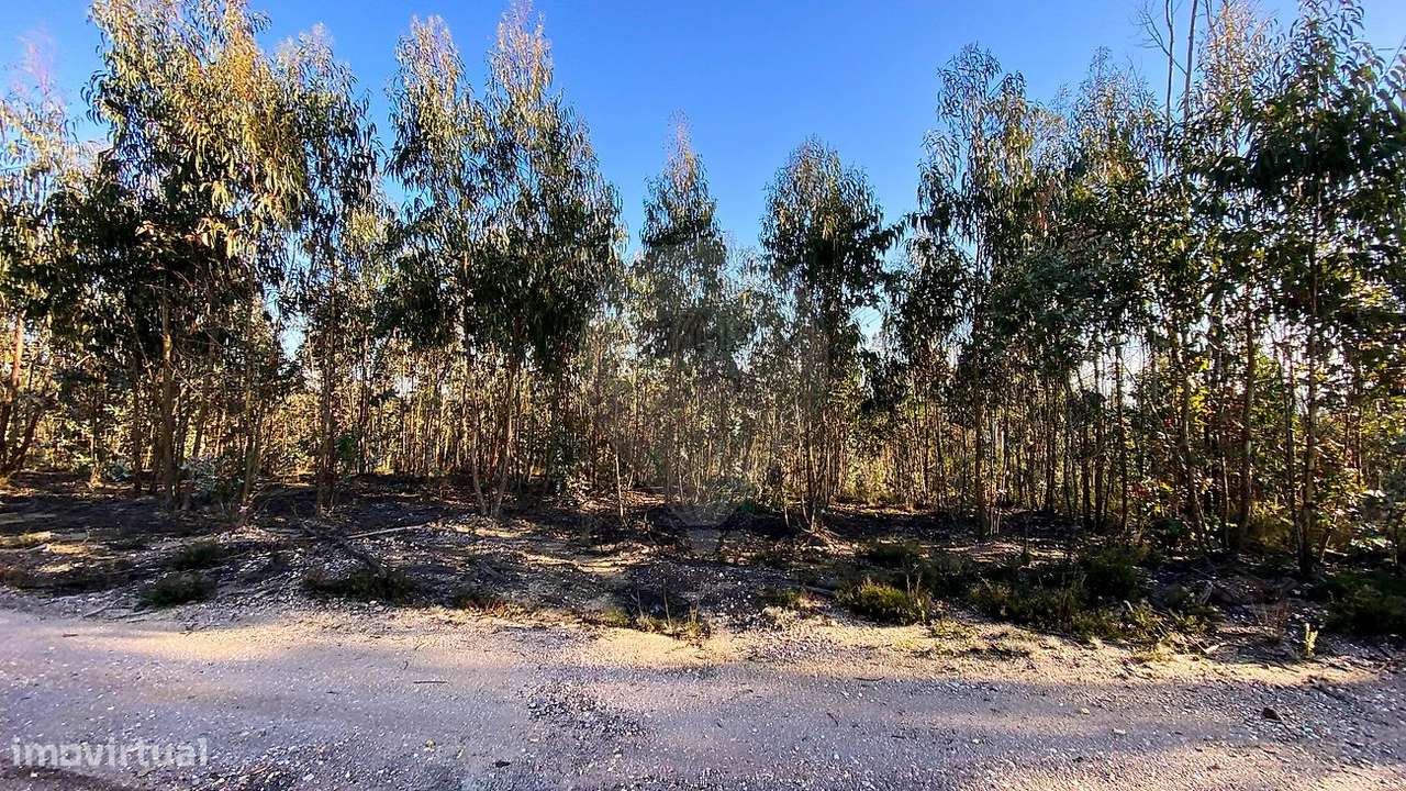 Terreno  para venda - Grande imagem: 4/12