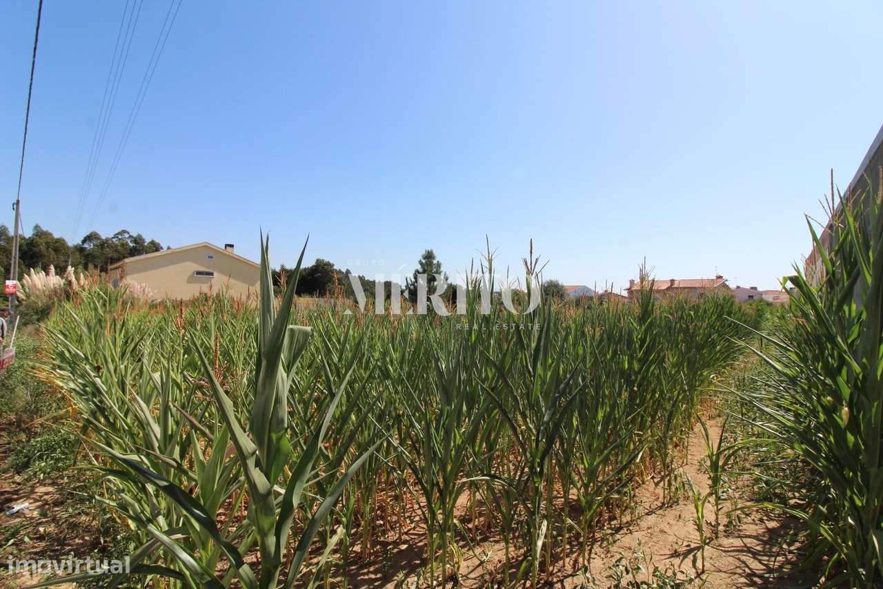 Terreno viável para construção de habitação - Grande imagem: 2/7