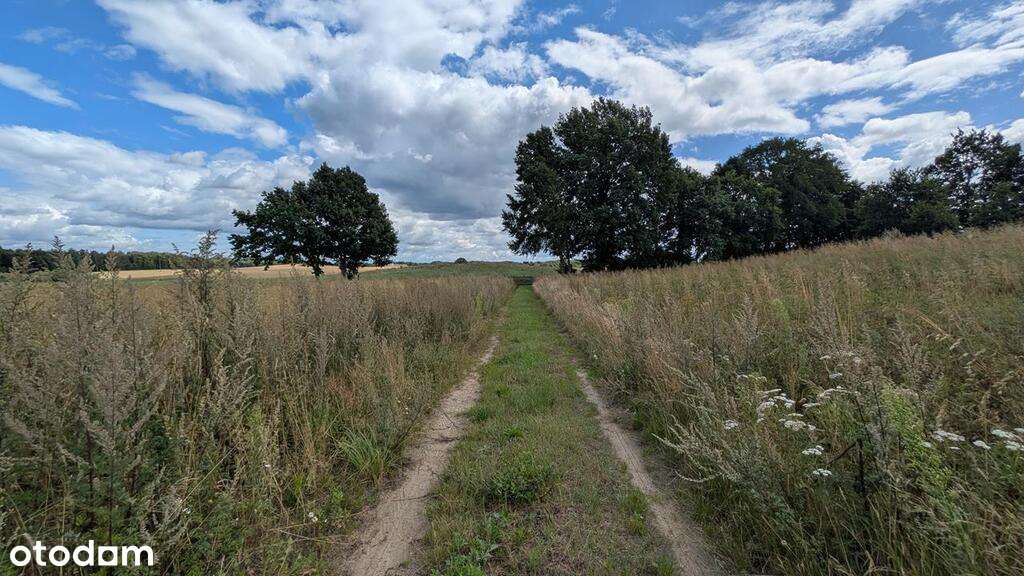 Na sprzedaż siedlisko na Pojezierzu Drawskim.-11