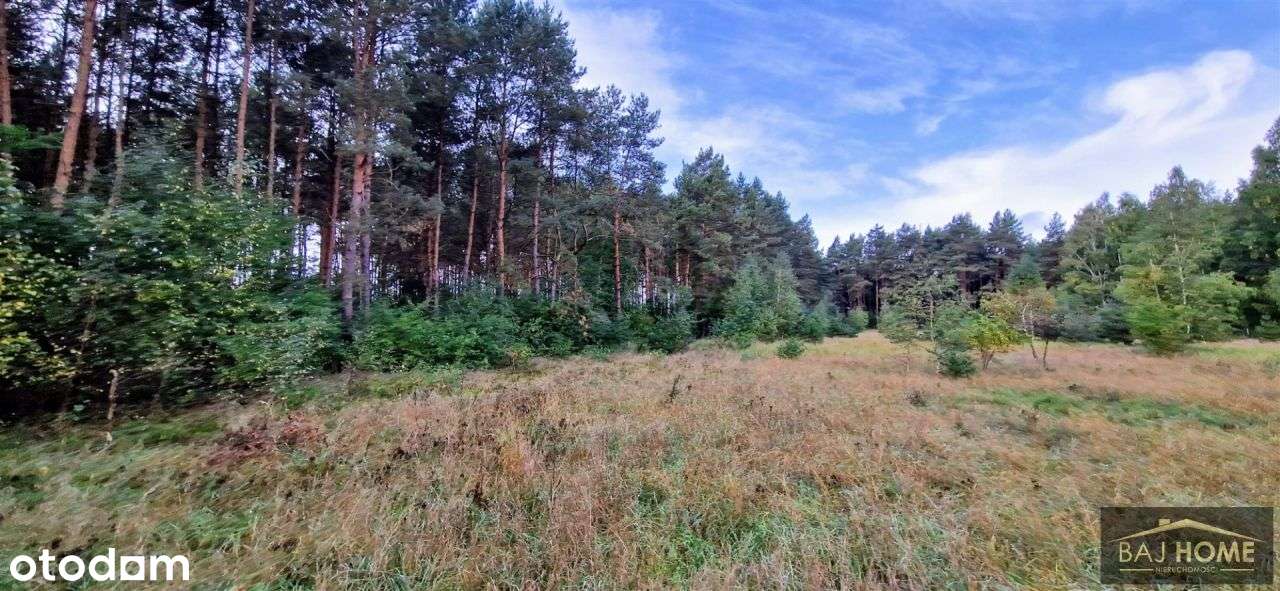 Działka na sprzedaż Grupa; gmina Dragacz - Pełny obrazek: 5/7