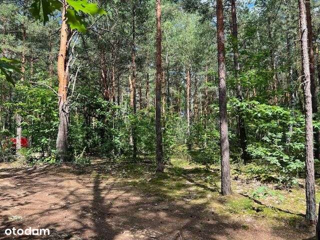 działka budowlana z wz Wawer Radość - Pełny obrazek: 2/7