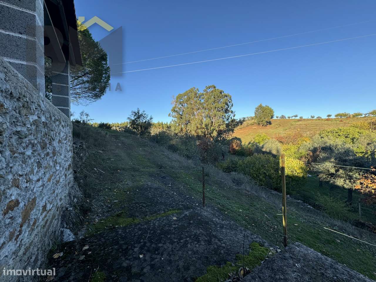 Quinta  Venda em Escalos de Baixo e Mata,Castelo Branco - Grande imagem: 2/31