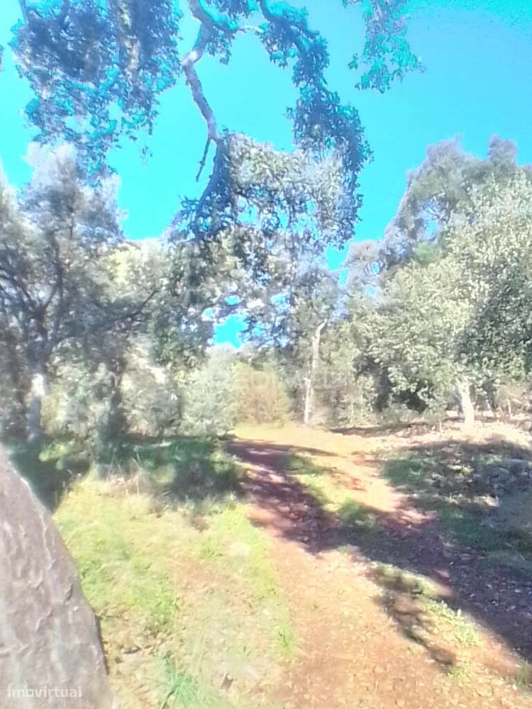 Terreno Rustico em S. Julião - Grande imagem: 3/4