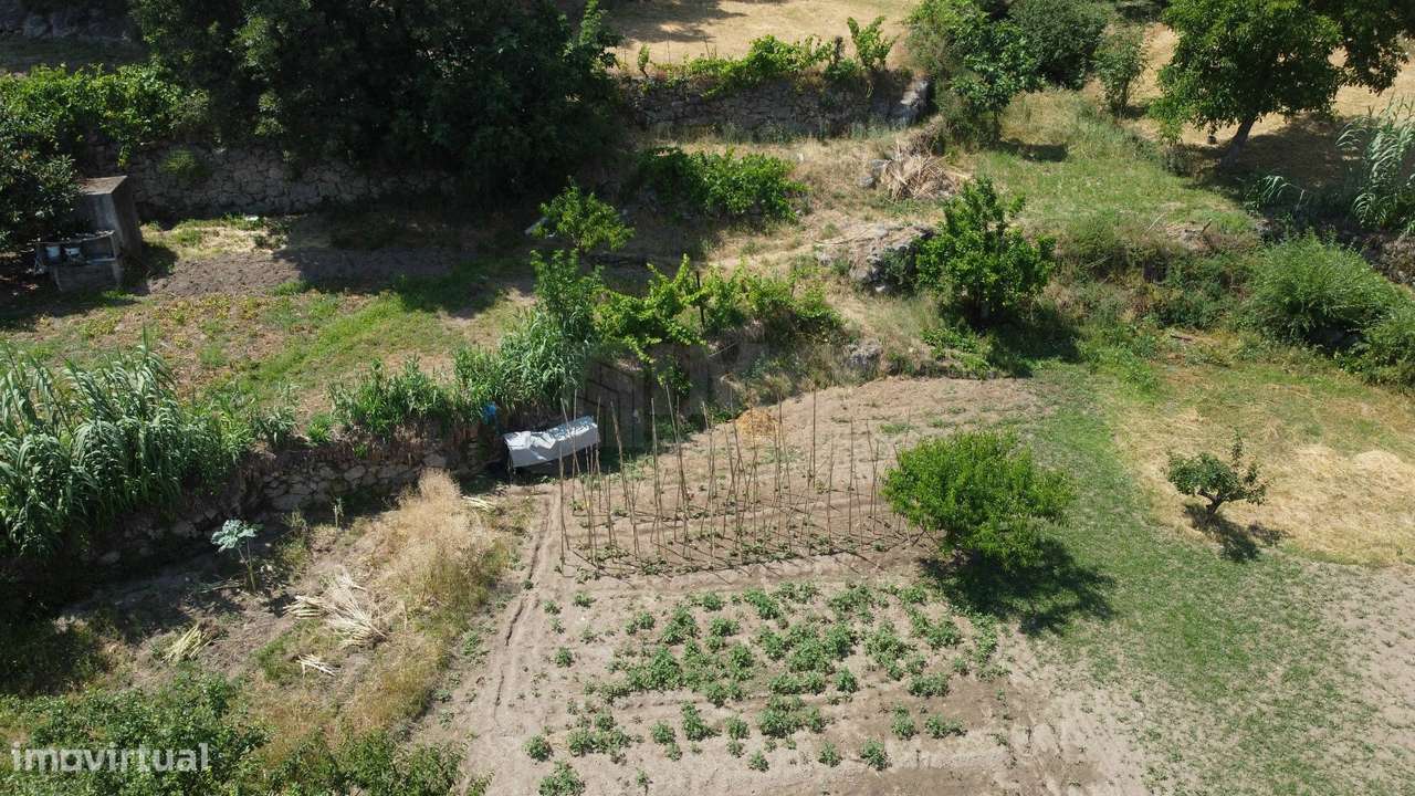 Terreno com 4.522 m² e Viabilidade de Construção - Vila do Carvalho-11