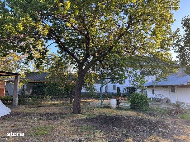 Vand teren loc. Ogoru, jud. Calarasi - Imagine principală: 4/6