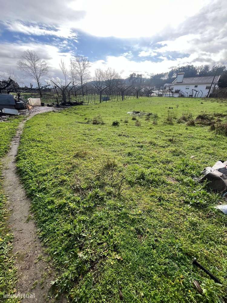 Terreno situado em Travanca, Amarante - Grande imagem: 5/13