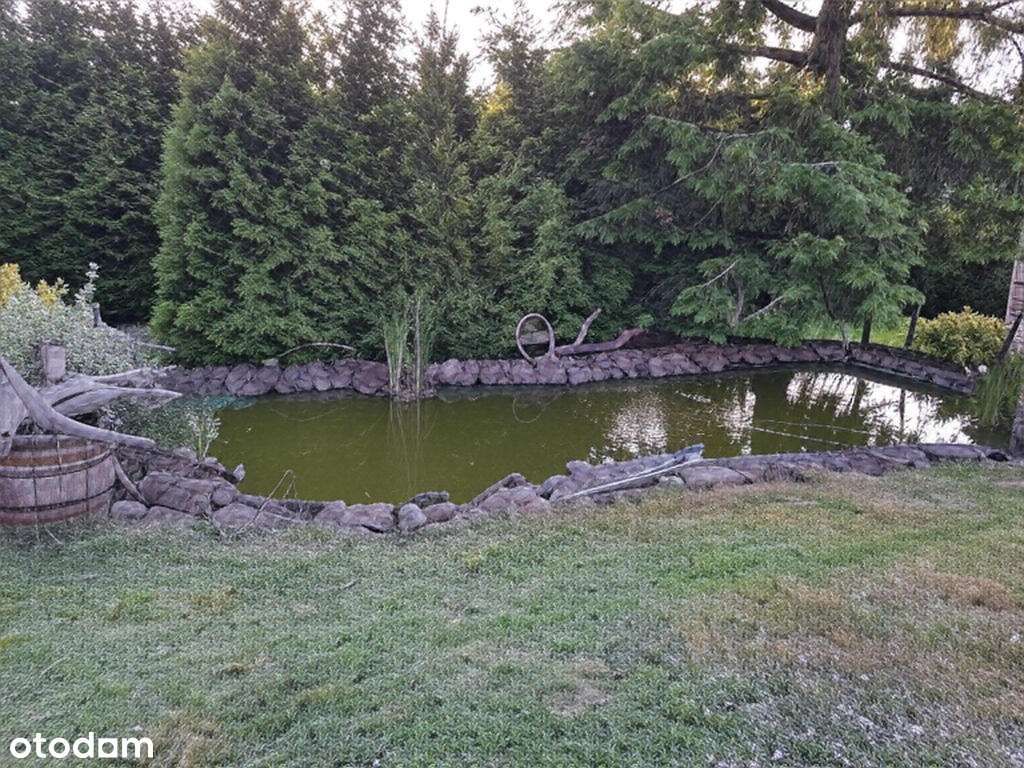 Dom z dużą działką i potencjałem inwestycyjnym - Pełny obrazek: 3/8