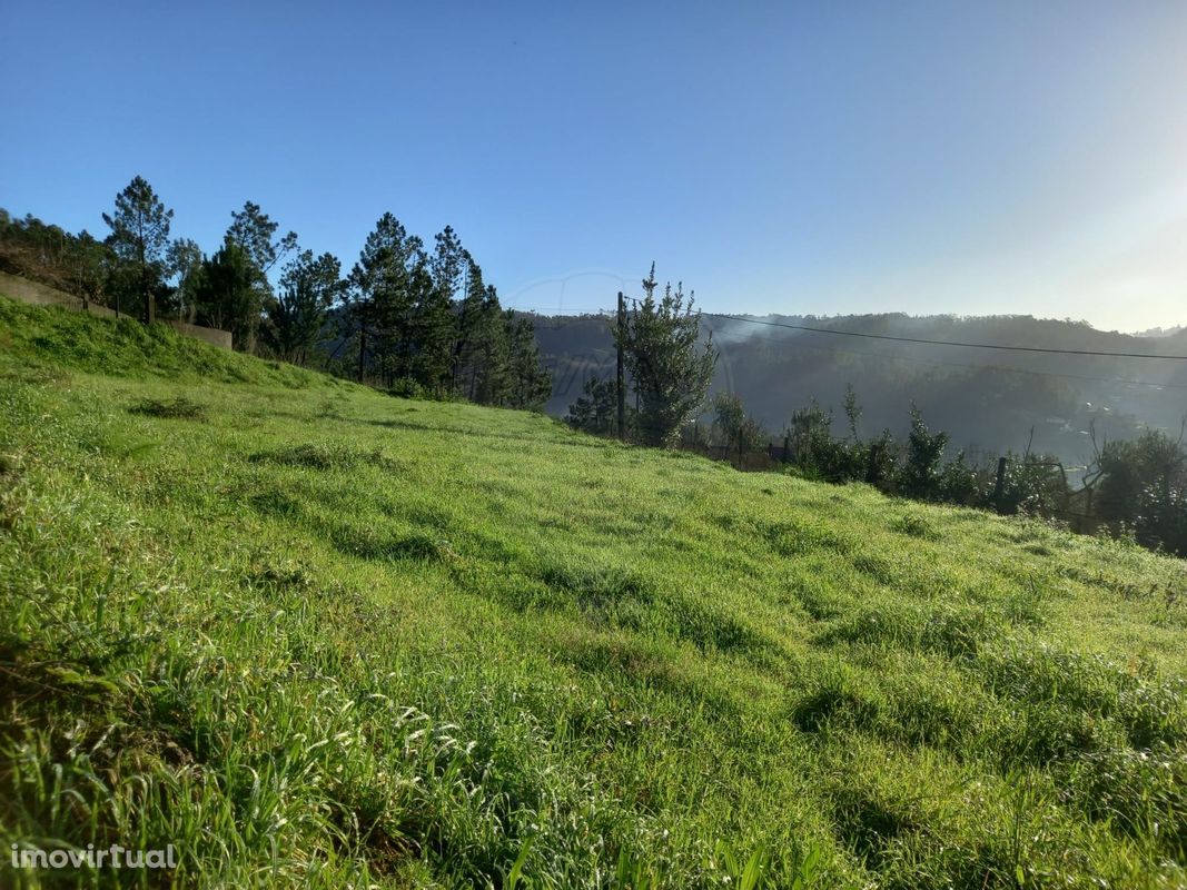 Terreno  para venda