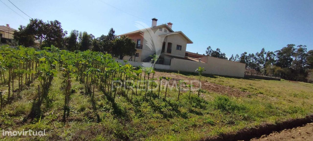 Terreno para venda em Aguada de Baixo.