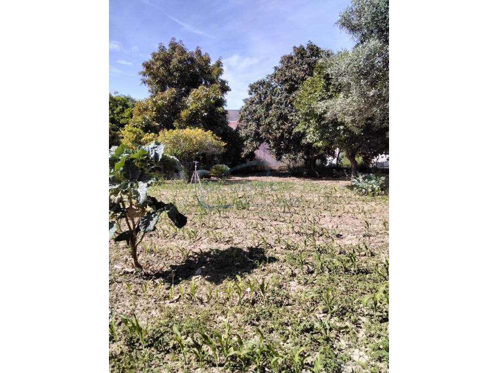 Duas Moradias com Terreno na Ribeira Branca - Natureza, Privacidade...-32