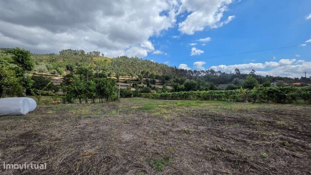 Terreno - Mosteiro - Grande imagem: 5/6