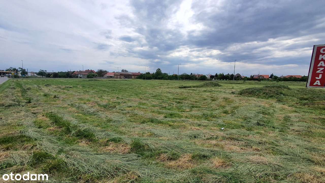 Polkowice - działka 75 a na sprzedaż-5