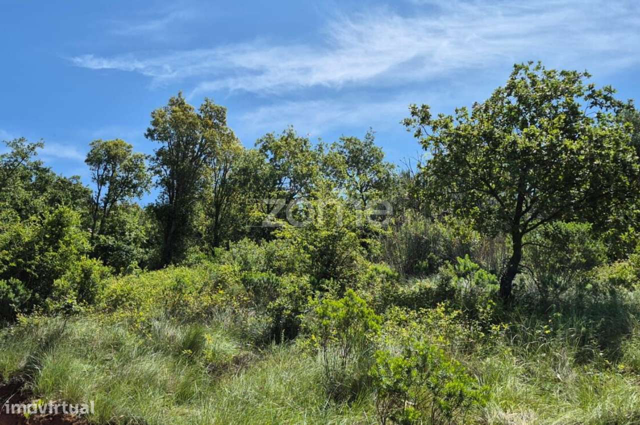 Terreno Casal Teles, Meca-3