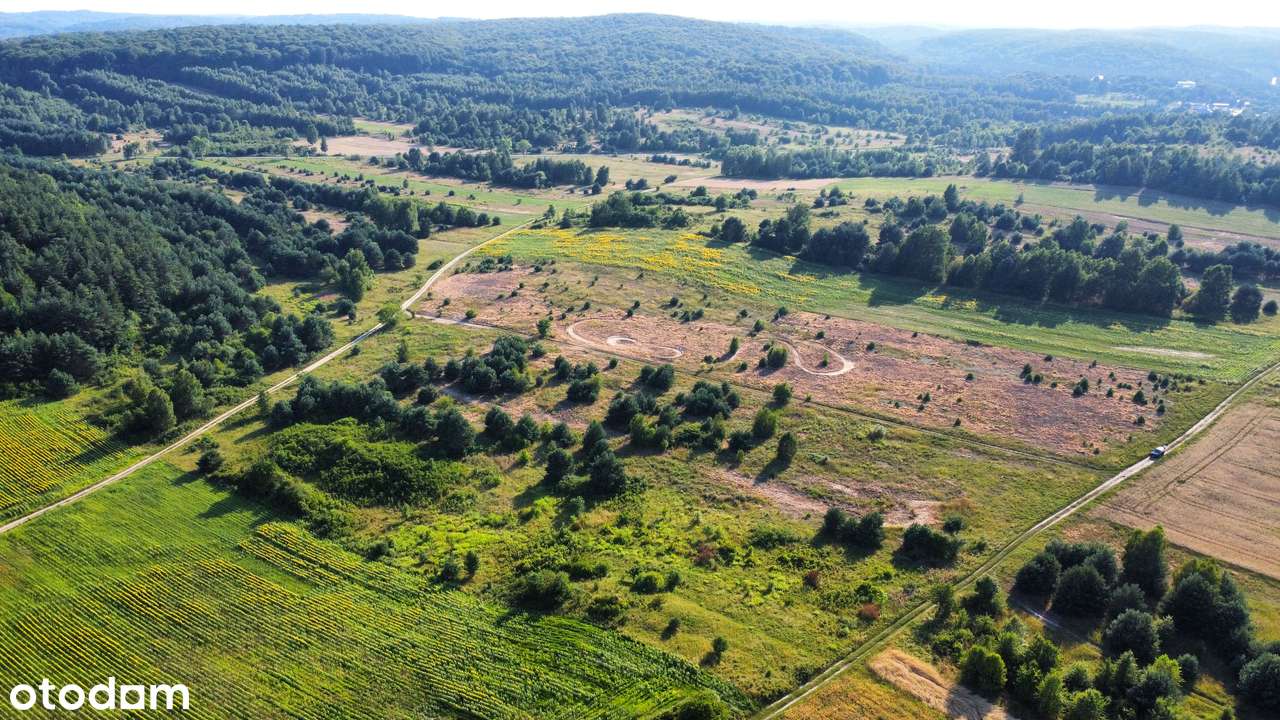 TYLKO ok 9 zł / m2 !! Wspaniałe miejsce! WIDOKOWA !! - Pełny obrazek: 5/10