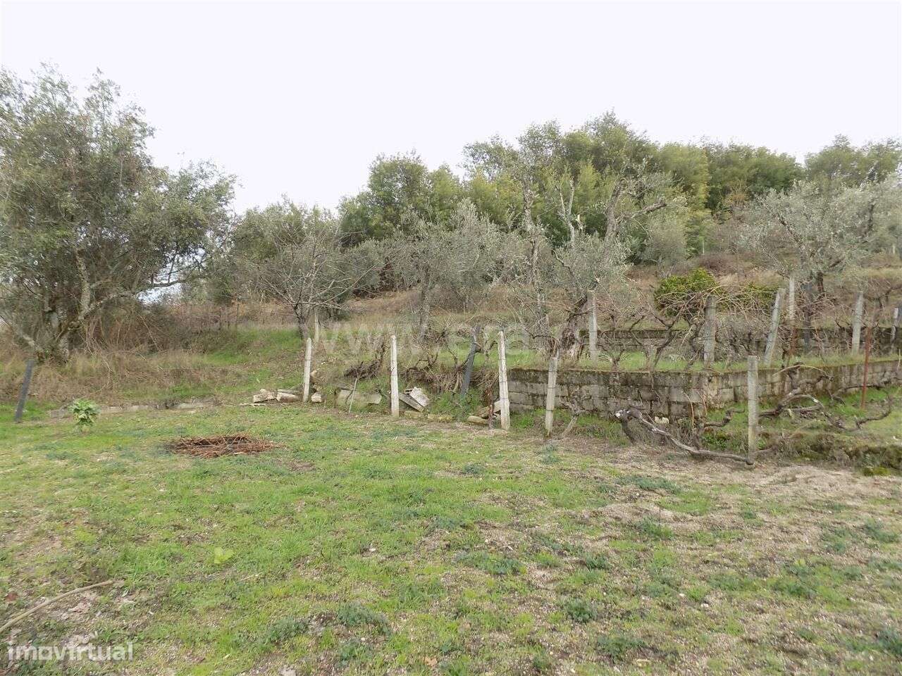 Quintinha T1 / Covilhã, Teixoso - Grande imagem: 5/6