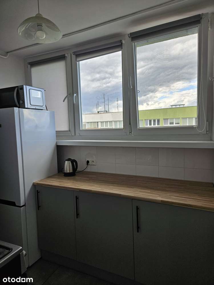 1-osobowy DUŻY jasny pokój. Widok na Sky Tower - Pełny obrazek: 4/7