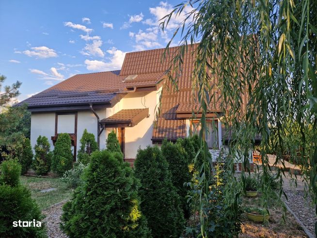 EXCLUSIV - Cafrom Imobiliare - SECIU-Vila de Vanzare-1