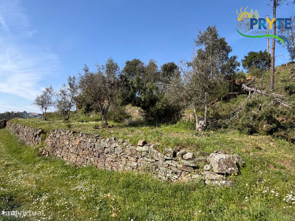 Ruína em pedra de xisto com boas vistas sobre a Aldeia e a Ribeira-19