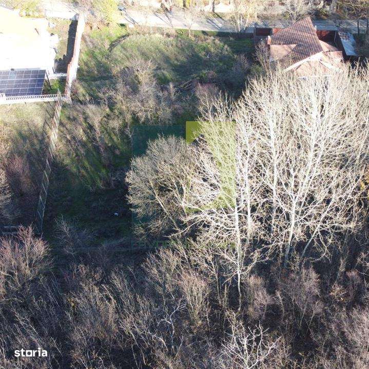 Teren de vanzare in Leamna de Jos - Imagine principală: 2/11