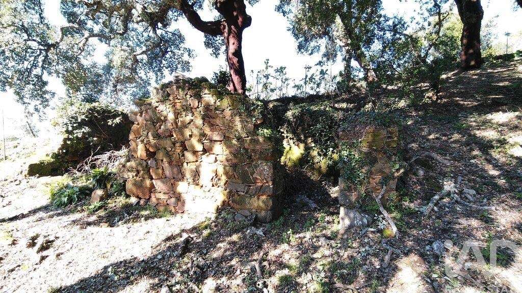 Terreno em Pedrógão Pequeno - Grande imagem: 2/31