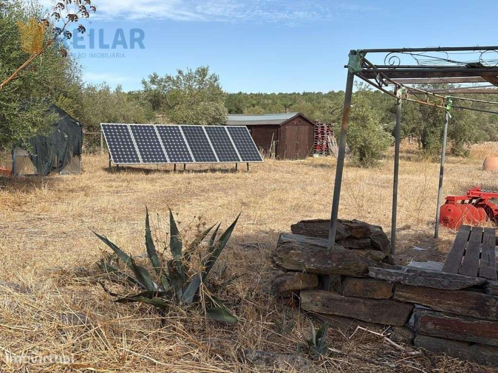 Monsaraz - Quinta 7.375 m2 - Grande imagem: 3/32