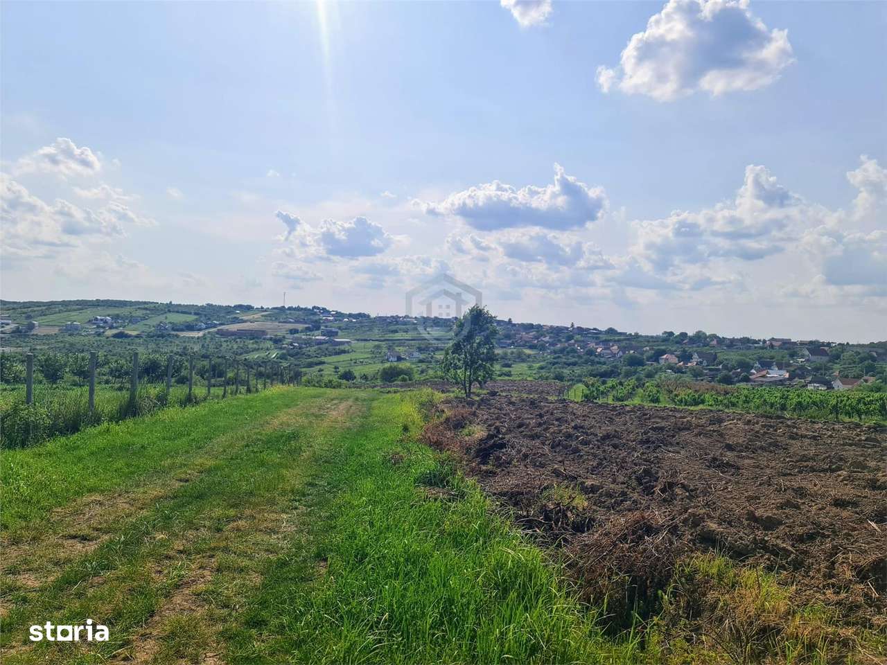 Teren intravilan Saldabagiu de Munte 1100m - Imagine principală: 5/8