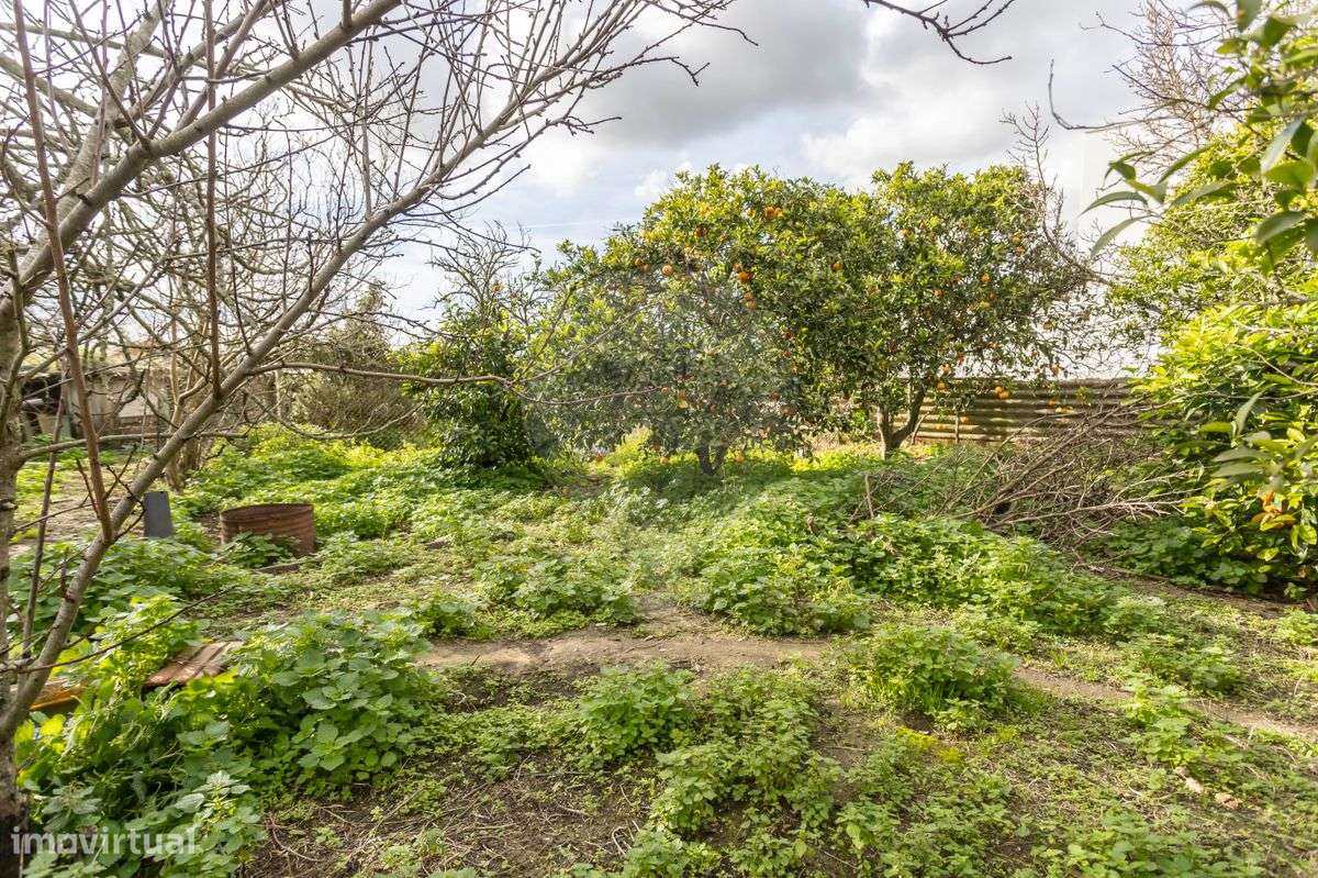 Terreno  para venda - Grande imagem: 5/10