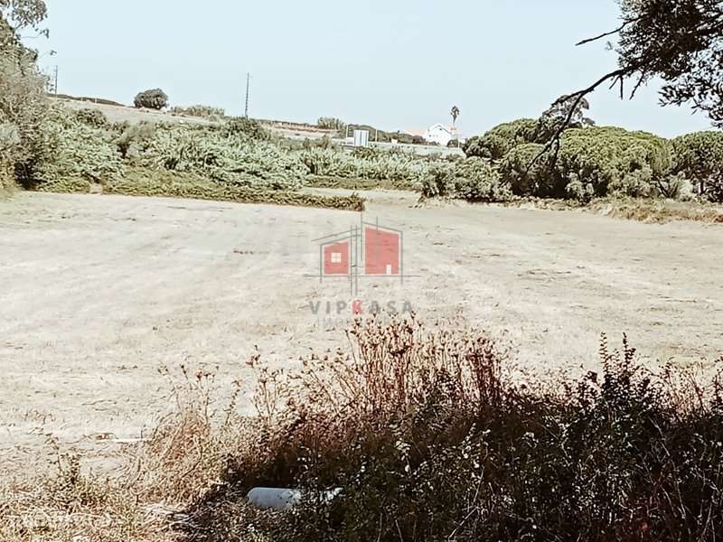 Terreno Misto com 3480m2 em Sacotes , Freguesia de Algueirão -Mem M... - Grande imagem: 2/2