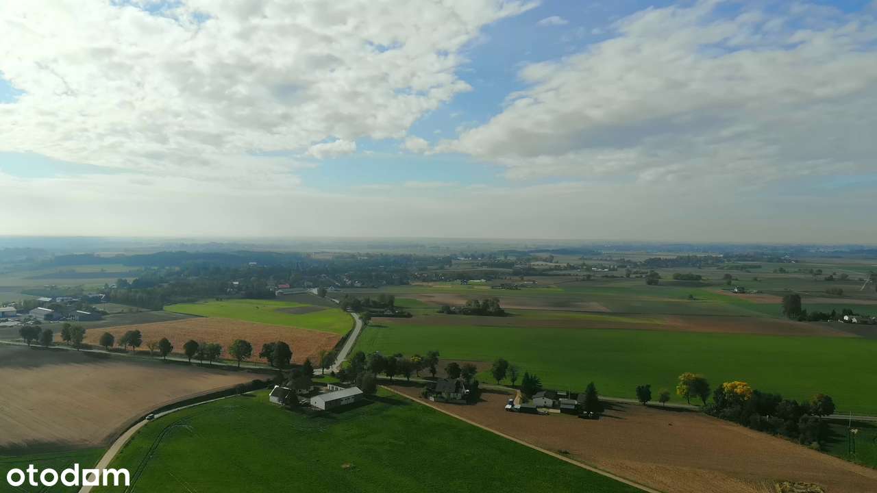 Ostrowite. Gospodarstwo z potencjałem - Pełny obrazek: 5/20