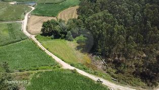 Terreno  para venda - Grande imagem: 5/15