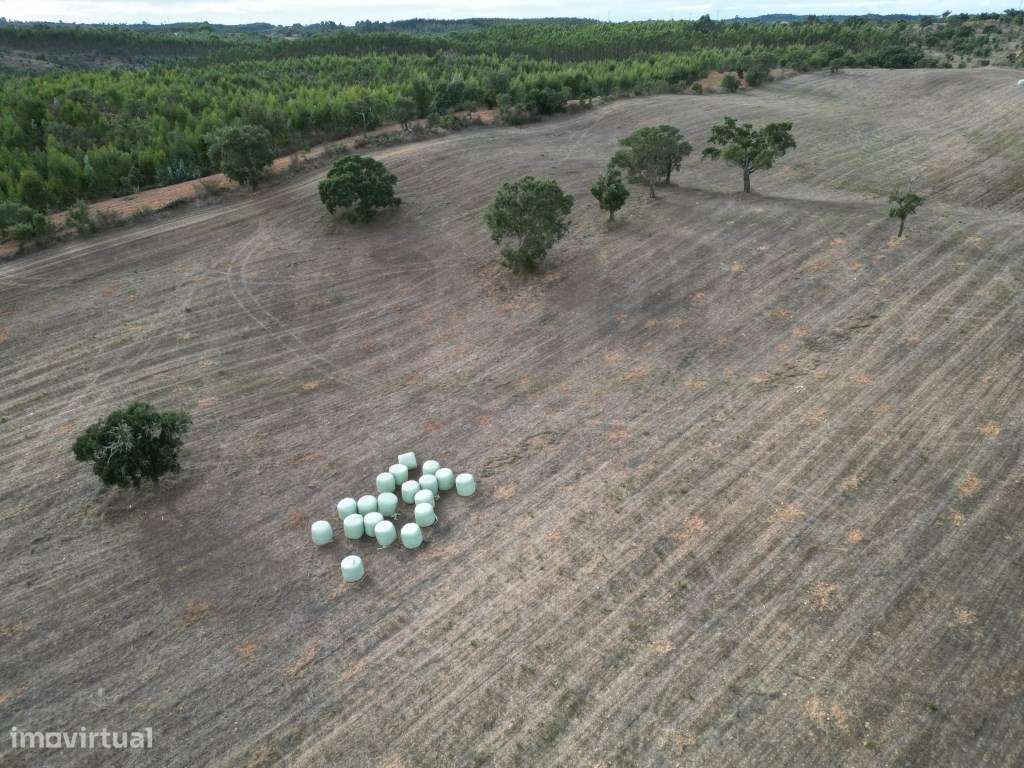 Monte Típico Alentejano para Reabilitar - Santiago do Cacém-21