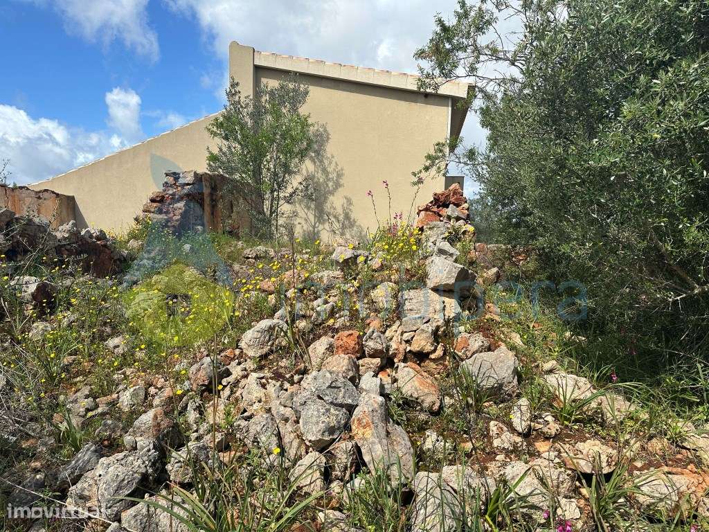 Terreno Plano com 12.0400m2 com Ruína á venda no Barrocal - Grande imagem: 1/7