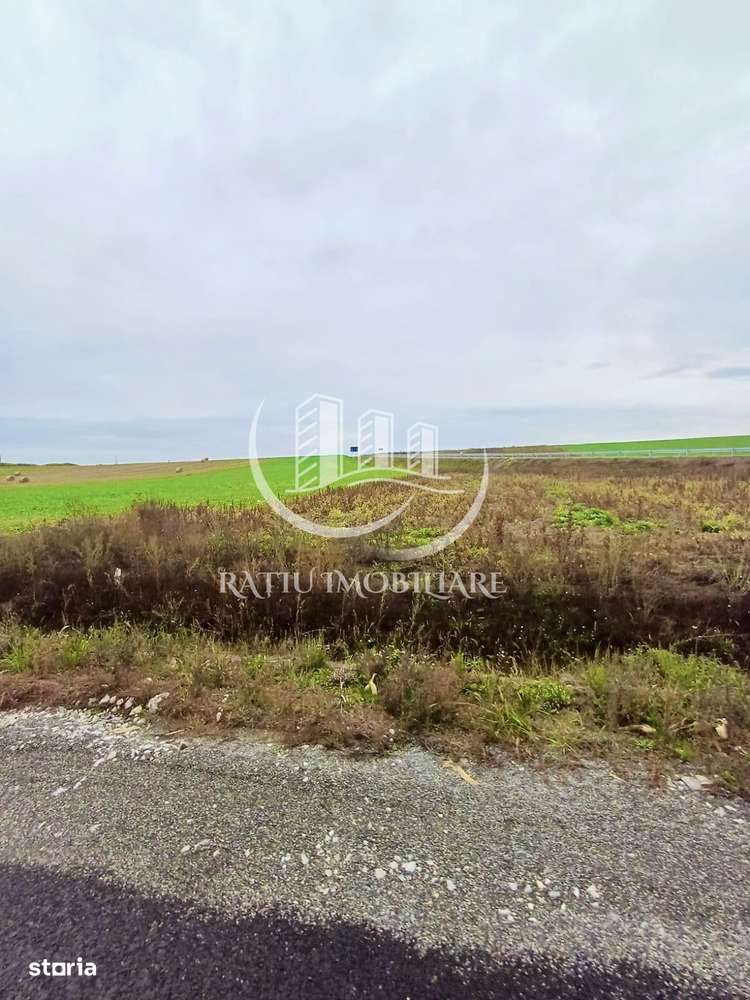 Teren Investiție | 25 €/mp | Acces Drum Metropolitan OSORHEI - Imagine principală: 4/8